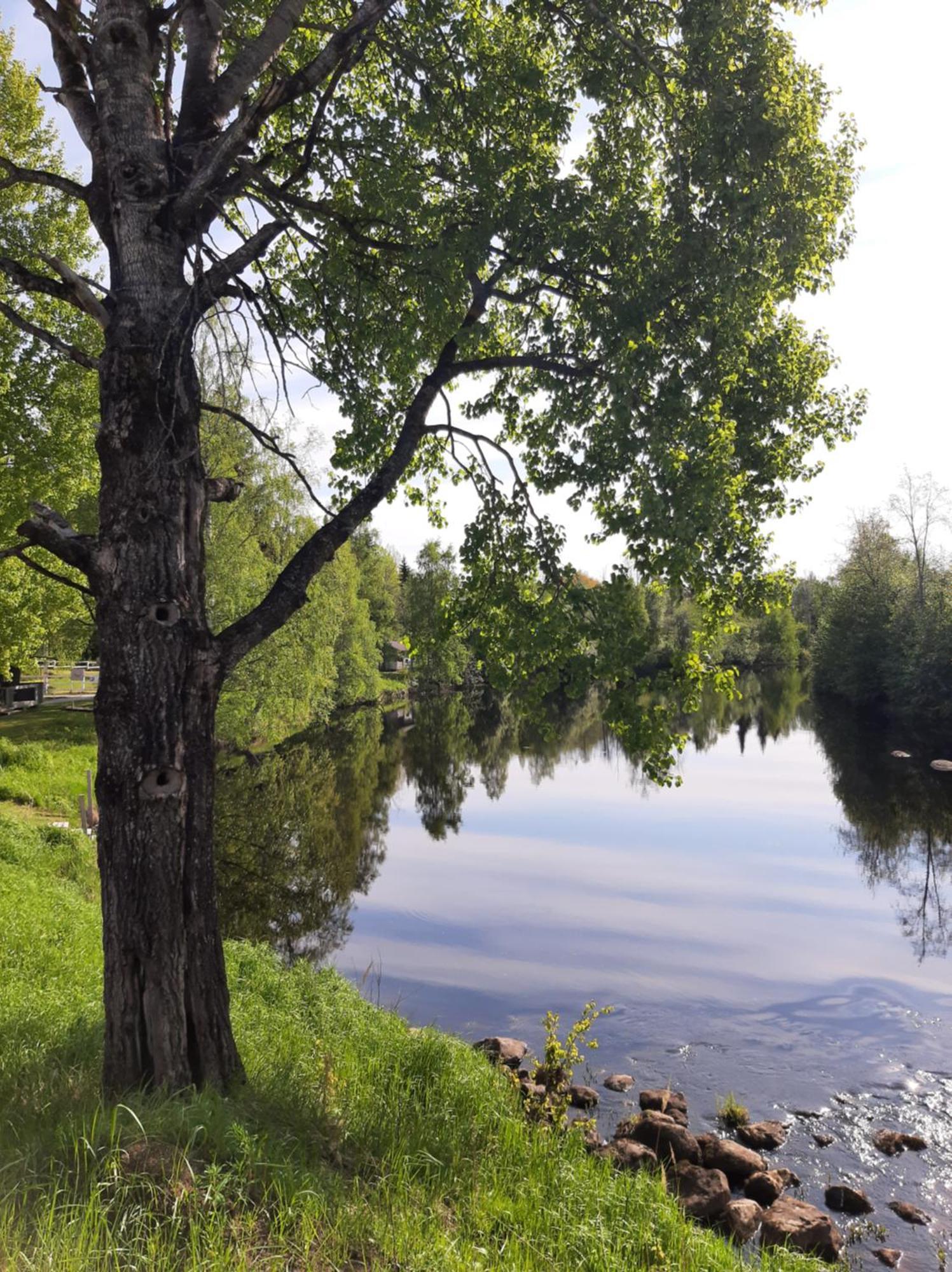 Huhtaniemen Moekkikylae Veteli Exterior foto